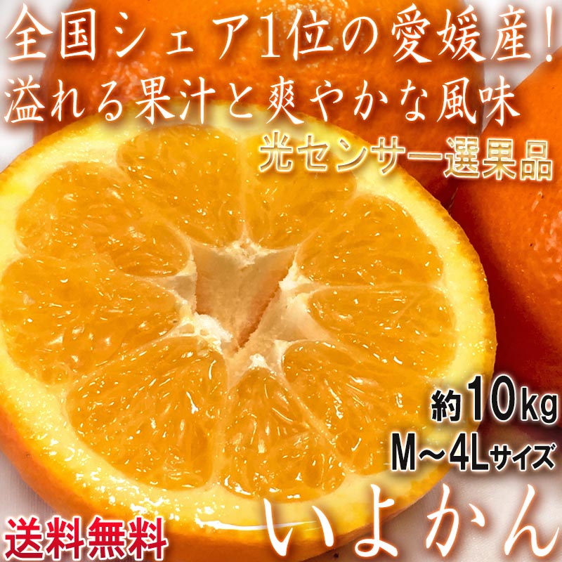 ��ͽ�� ���褫�� ��10kg M��4L������ ��ɲ���� JA������ �����󥵡����̤��֤䤫�ʴŤ���˭�٤ʲ̽��������̥ȥå�3�ο͵��ʼ�