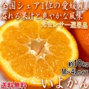 ��ͽ�� ���褫�� ��10kg M��4L������ ��ɲ���� JA������ �����󥵡����̤��֤䤫�ʴŤ���˭�٤ʲ̽��������̥ȥå�3�ο͵��ʼ�