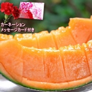 2026  ��������ե� ��������� 2������ ͥ�����ʵ��� ���ϸ��� �����󥷡�������濴 ��å����������ɡ������͡������Ʊ��