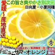 ����ľ�� ������ �˥塼���ޡ������ ��5kg ��ɲ���� ���� £���� ���ټ�¬11�ٰʾ� ���餴�ȿ��٤륪��󥸡�