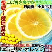 ����ľ�� �˥塼���ޡ������ ������Ʊ���ʼ� 5kg ��ɲ���� ����������� ���ټ�¬11�ٰʾ� ���餴�ȿ��٤륪��󥸡�