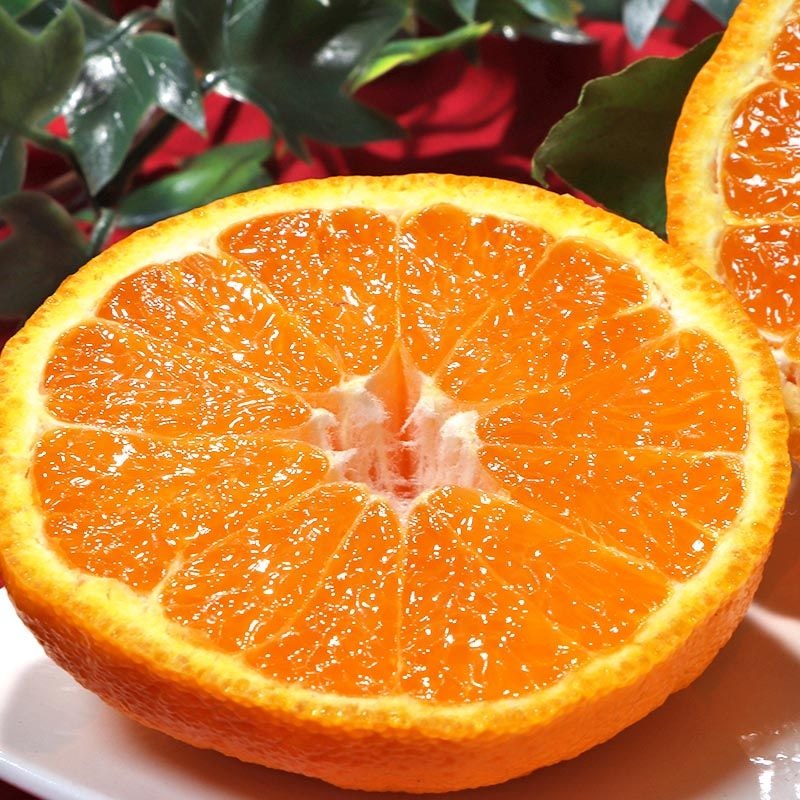 ���崰�ϥǥ��ݥ� ���դ����β� ��3kg L��4L������ ��ɲ���� £������ JA���Ҥ��� ����������ǹ��˹⤤���٤�ȴ����̣����ɲ����̤��κǹ���