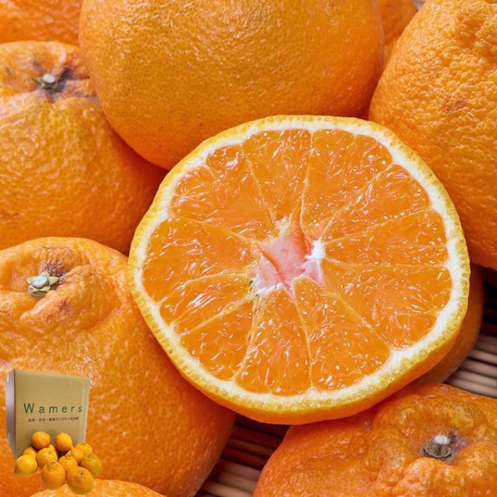 ���βФߤ��� ����̤� ��9��10kg M��2S������ ���ܸ����Ŀ����Ȼ� �������� ��¬����14�٤�ǻ���ʴŤ����ǥ��ݥ��Ʊ���ʼ�β����ѥե롼��