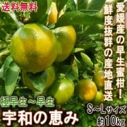 �������������ò��� ����ľ�� ���¤ηä� ����̪�� ��10kg S��L������ ��ɲ���� �������������� �Τ줿�Ƥߤ����ɲ�����फ��ľ���Ǥ��Ϥ���