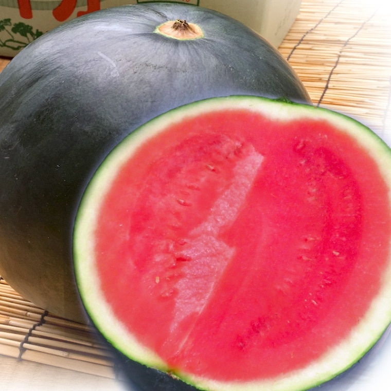 �֥�å�����å� ��̵������ 1�� ��7��10kg �������� ���ո��� ��̸��� �ϰ�֥��ɤ���Τ���濴�� �����Ϥ����������ʸ��б�ͭ��