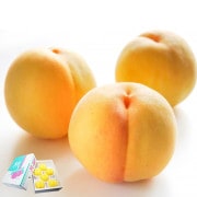 ľ  3kg 1012 £  ˭ʴŤեȺŬȴ٤ʼβ