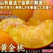ľ  2kg 69   ѤΤʲȴľǤϤ