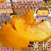  եȤ 2kg 57 £  JA濴 塼ʲǻʴŤ渵˿͵ιʼʥե롼