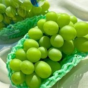 ˼㥤ޥå ̵ƺ 1˼ 700900g 濴 £ JA Ȣ 餴ȿ٤֤ɤǻʴŤΥեȥե롼