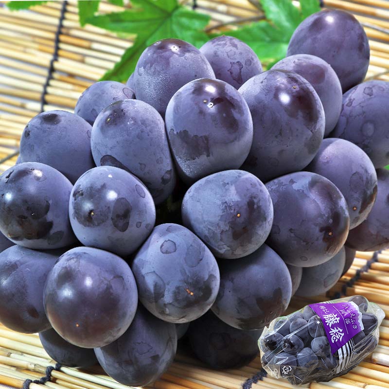 ƣ̭ �դ��ߤΤ� ��1.5kg 2��3˼ �������� £������ JA������ �����礭��γ��ǻ���ʴŤ������եȺ�Ŭ�ʼ�̵����ƺ