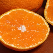 ߤ ܸ 3kg 2SM ˤޤ̪ ̥ ŷФ ߥ ĿȤǰƤܤΥߥ