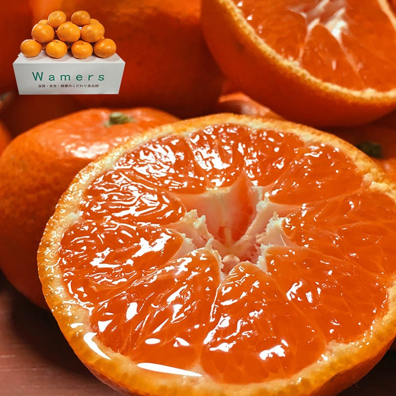 ̣�ޤ�̪�� ��3kg £������ ���ʡ�ͥ�� JA�ʤ��������� �����󥵡����̤�����12���ݾ㡪Ĺ�긩���ؤ�ͭ̾�֥��ɡ������ߤ���