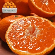 ̣�ޤ�̪�� ��3kg £������ ���ʡ�ͥ�� JA�ʤ��������� �����󥵡����̤�����12���ݾ㡪Ĺ�긩���ؤ�ͭ̾�֥��ɡ������ߤ���