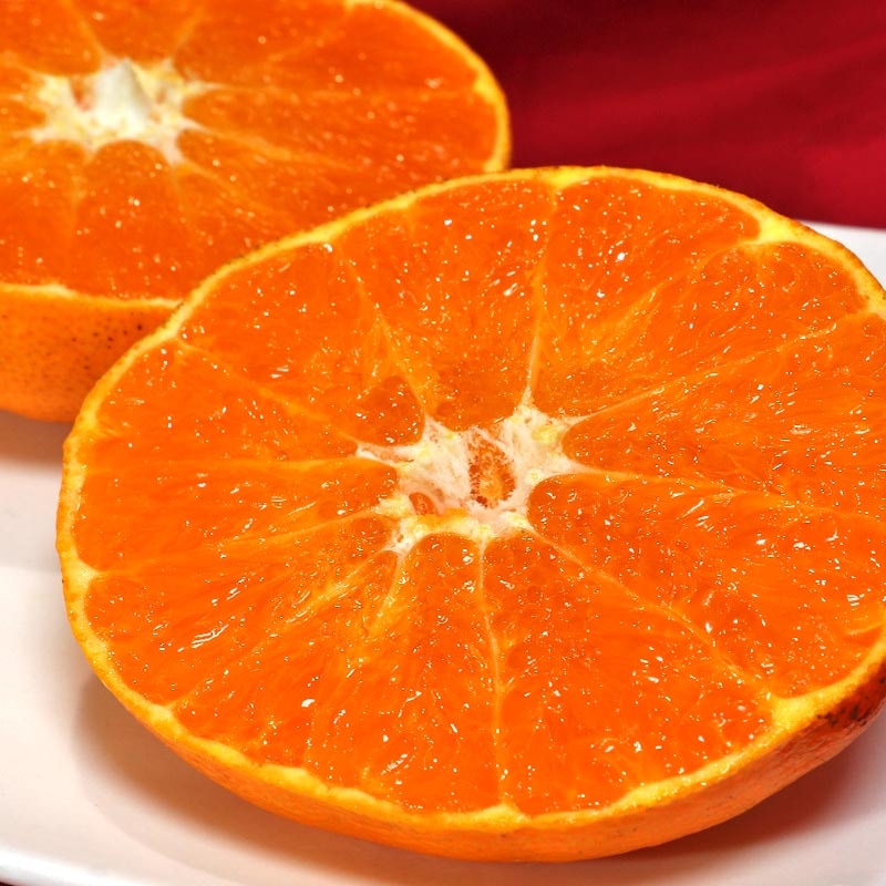 �ߤ��� ��ʿ ����ڤ� ��3kg ��ɲ���� ���� JA���Ҥ��� �ò����� £����Ŭ ����Ȣ���� �������ݤǺǾ����ʼ���JA���Ҥ���Υ��եȥե롼��