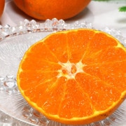 ��ʿ ����ڤ� ��2.5kg 8��15�� ��ɲ���� ������ ���㥭���㥭�ο����ȹ⤤���١���ɲ���ꥸ�ʥ�ι��ߤ���