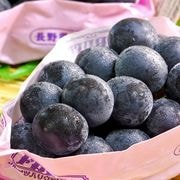 �ʥ��Υѡ��ץ� ��̵����ƺ ��1kg 2˼ Ĺ����濴 £������ JA������ �û��ʤι��ե롼�ġ��餴�ȿ��٤���γ�ι��֤ɤ�