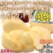 ���������� ��5kg 12��26������ �������� �������� �ܾ�λ��Ϥǰ�Ƥ�ȴ����̣���ܤ��ʼ����