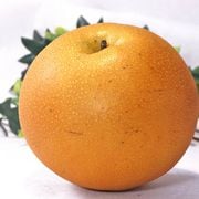�ˤä����� ��5kg 5��9�� £������ ���ڸ��� ��̸��� ���ʡ�ͥ�� JA������ ���󥵡����̤�̣�襤ȴ����£���ե롼�ġ��̽�˭�٤ǹ����٤������