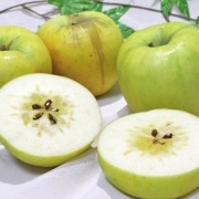 ̾�� ̪��� �ᤤ���� ��5kg 11��17�� ��ꡦ�Ŀ����� ������ؤΥ�󥴻��Ϥǰ�Ƥ�ȴ����̣���Ť�˭���ʸ����Ӹ�