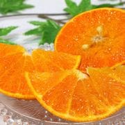 ��������� ͭ�Ĥ���� �²λ����� ��10kg M〜4L������ ��¼�ߤ���λ��ϡ�����Į��¼�϶�ǰ�Ƥ�ȴ����̣��