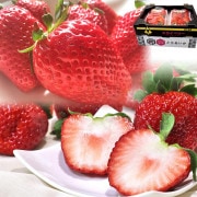 �������٥꡼���Ȥ������� ���������å� ��560g��2Ȣ���� ���ڸ��� £������ �������������ܰ�����ڸ�����˭���ʴŤ���ȴ������̣�Υ��եȥե롼�ĥ��å�