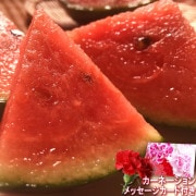 2026  ��������ե� ���� ������ 2�� ���ϸ��� ���� ����Ȣ���� £���� �ܤλ��Ϥǰ�Ƥ�̣�襤ȴ���Υ��ե������� �����͡�����󡦥�����Ʊ��