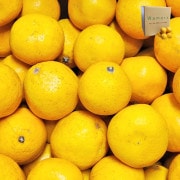 �����մ� ������Ф󤫤� �������� ��10kg ���ܸ��� ˭�٤ʲ̽��Ⱦ��ʤʴŤ����������졼�ץե롼�ġ�