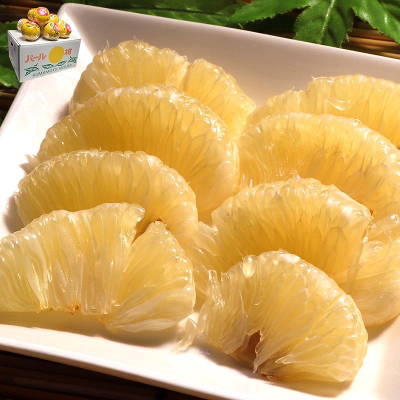 �ѡ��봻 ��� ��9��10kg 12��24�� ���ܸ��� £������ �޳ݤ� �Ŀ����Ȼ� ���եȤˤ�͵��Υ֥��ɥե롼�ġ��֤䤫����̣�Ⱦ��ʤʴŤ����û���