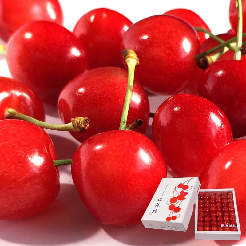 ��ƣ�� ������������ ��300g L��2L������ £���� �������� �ý����� JA������ޤ��� �ò����ݤ���ǫ�˰�Ƥ����եȥե롼�ġ�