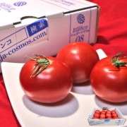 ���奬���ȥޥ� Bianco �����٥ե롼�ĥȥޥ� ��800g 2S��L������ ���θ��� £������ ����8���ݾڤΥ֥�����ڡ�