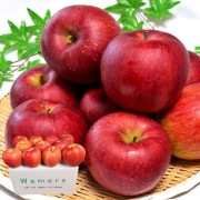 ʥΥ ֤ 5kg 1014 Ĺ濴 £ Ťߤȹʻ̣Ӹ顪󥵡̤Υեȥե롼