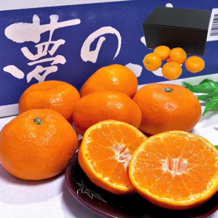 ̴�η� �����ߤ��� ��2kg S��2L������ ���ܸ��� £������ �����󥵡����̥ߥ�������12���ݾ�