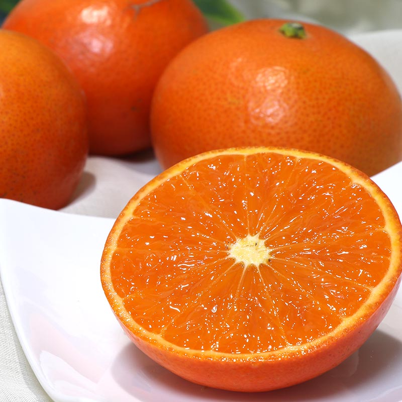 みはや 国産オレンジ 約5kg 熊本県産 JA共撰品 濃厚な甘さの新品種フルーツ！ 柑橘 オレンジ 紅まどんな 南香 天草 甘平 西之香 ...