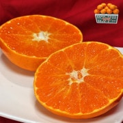 ��ʿ ����ڤ� ��5kg M~5L������ ��ɲ���� ���㥭���㥭�ο����ȹ⤤���١���ɲ���ꥸ�ʥ�ι��ߤ���