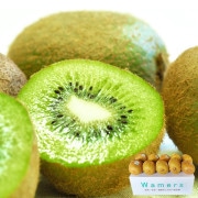 ���祰�꡼�󥭥��� ��1.5��2kg 8��12�� �˥塼�������ɻ� �����ץꥭ���� ����ͭ���Υ��������Ҥ��ؤ�֥��ɥ�����