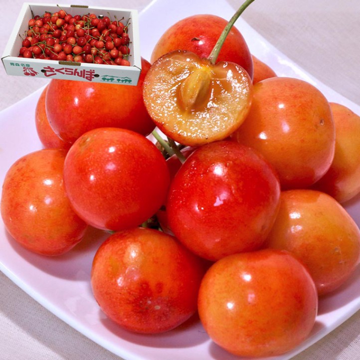 �Ŀ��������� ��1kg M��L������ �Ŀ����� �������� ��ƣ�ӡ��Ƚ������ֶ������ӤʤɽܤΥ������ܤ�����