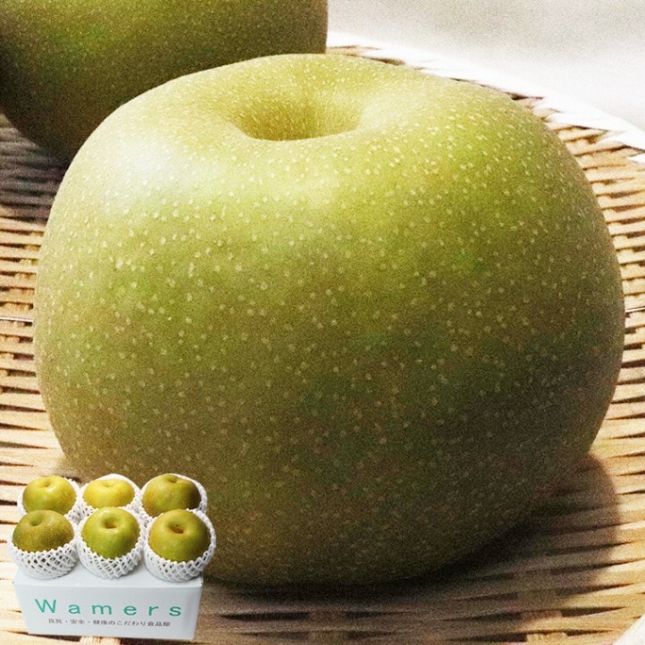 ץߥ  ո 3kg 36 ͤ £ 塦˭塦⡦ ܰΥʥв̤ؤո껺ϸ