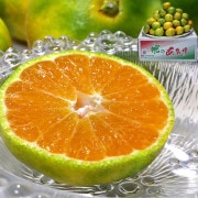 ̴̤ߤ ߥ 5kg 2SL ܸ JA ꡼̪ܾǰƤ֤䤫ʴṬ̌