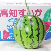 Υ 2.5kg 1 θ £ 濴 ΩκݤۤθդӤưäû