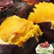 륯 Ĥޤ 10kg S2L ո븩   餫ʿȰФδŤ