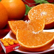 �Ȥޤɤ�� ��3kg 10��15�� £���� ��ɲ���� ���� JA�������Ҥ� ����Ȣ���� ���եȺ�Ŭ�ʲ������ݤι��ե롼�ġ��Ȥ����뿩����ȴ���δŤ�����̣����