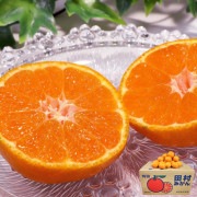 ��¼�ߤ��� ����ͭ�ĥߥ��� ��10kg 2S��2L������ �²λ����� ����Į������ �Ť�˭���ʥ֥���̪�����ǹ����λ��Ϥǰ�Ƥ�ȴ����̣