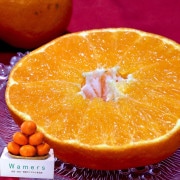 ��ʿ ����ڤ� �������� ��2.5kg M��4L������ ��ɲ���� £������ JA������ ���� �ò����ݤ���ǫ�˰�Ƥ�ǻ����̣�ȴŤ��Υ��եȥե롼�ġ�