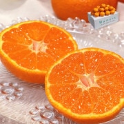 ����ɱ �ߤ���Ҥ� ���¥ߥ��� ��2.5kg S��L������ £������ �������̼¤�ȴ����̣�ȴŤ������Ҥ᤬�ؤ��û��ʤΤߤ���