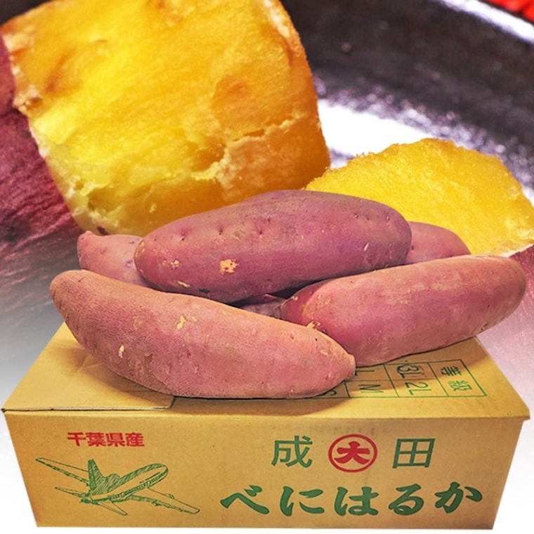 紅はるか 特大さつまいも 約10kg L～3Lサイズ 千葉県 茨城県産 お得用 