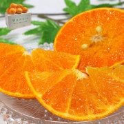 ��������� ͭ�Ĥ���� �²λ����� ��5kg M〜4L������ ��¼�ߤ���λ��ϡ�����Į��¼�϶�ǰ�Ƥ�ȴ����̣��