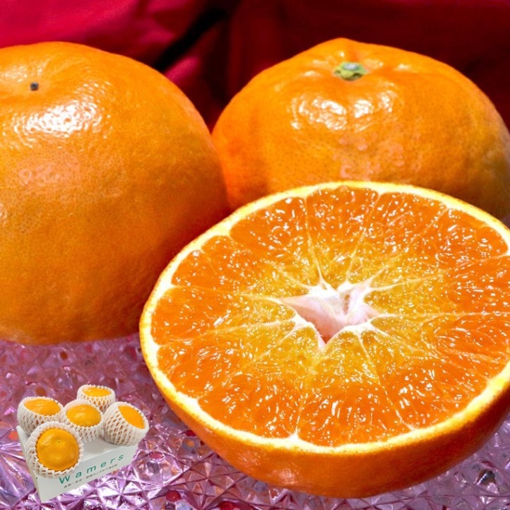 �ˤ��夦�ޤ� ��̸��� 5��7�� 2��4L������ ���츩�� £������ ��ʿ�Ȼ����ʼ���û��ʥե롼�ġ��ץ��äȤ���������ǻ����̣�ȴŤ�