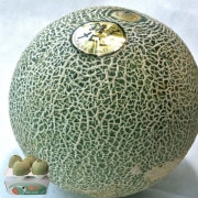ĸ�ҥ���� �������� ��5��6kg 3��6�� ���ո��� £������ ��̸��� �����󥷡��������ߥ�åɤʤ� ��̩�ʲ�����ǻ���ʴŤ�����16���������Ⱦ޼��ޤΥ֥��ɲ�ʪ