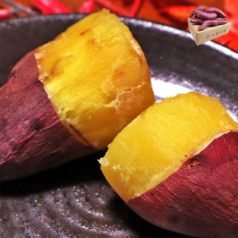 Ĥޤ ȤϤ뤫 2.5kg ո븩  ạ̊́ȱ˭٤ʽܤڡŤ߰뻧Ϥ ĥޥ   ¤