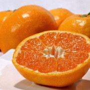 �ܸ��ߤ��� �����괰��ͭ�ĥߥ��� �������� ��5kg S��2L������ £������ ��������ˤ��ä�ͥ�줿���Ǻ��ݤ������եȺ�Ŭ�ʥ��ե�̪����